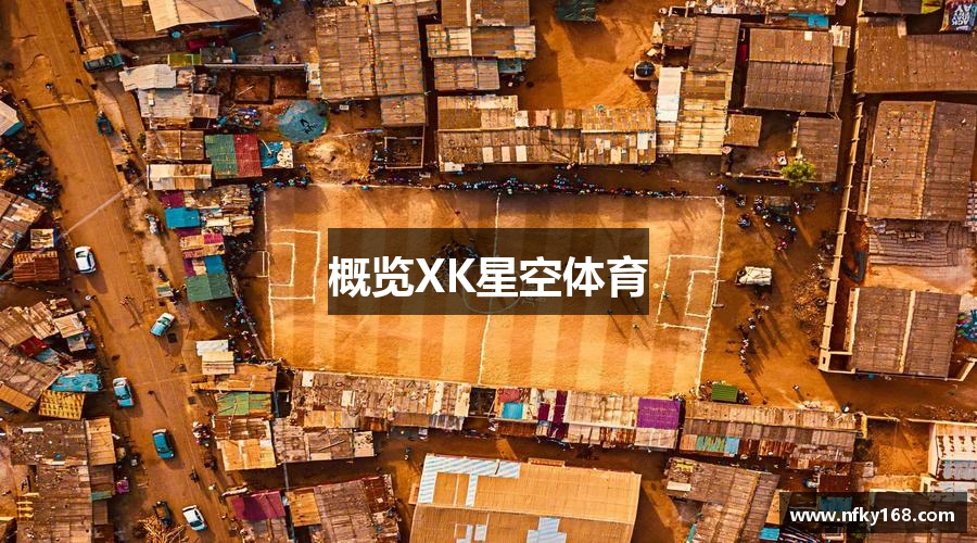 概览XK星空体育